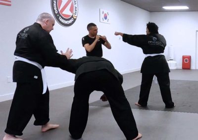 Hapkido Self-defense Basic Armbar