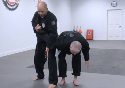 Adults Hapkido - Armbar