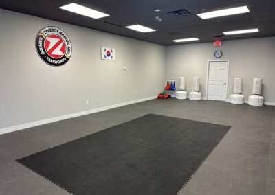 zynergy-martial-arts-taekwondo-west-palm-beach