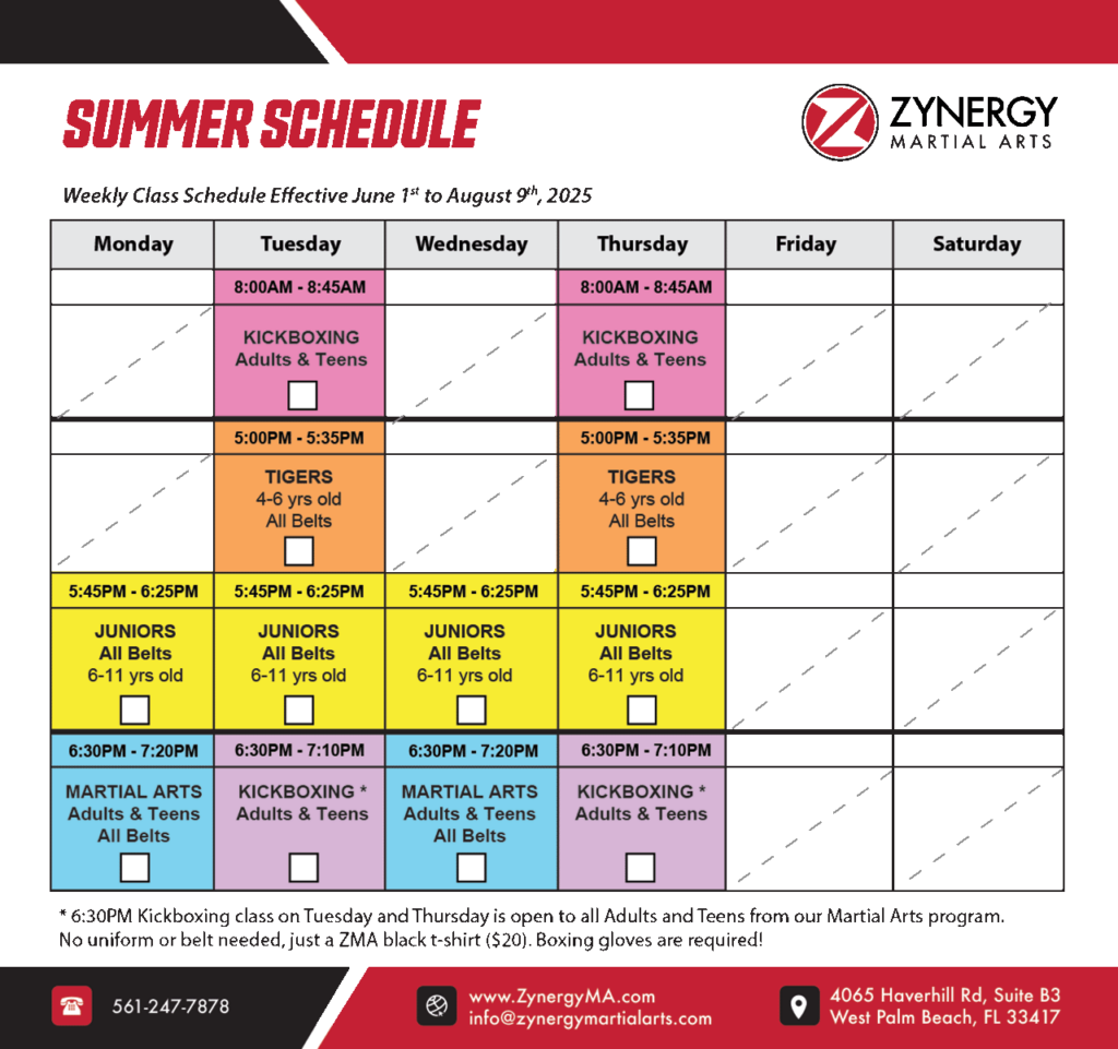 taekwondo-summer-classes-zynergy-martial-arts-west-palm-beach