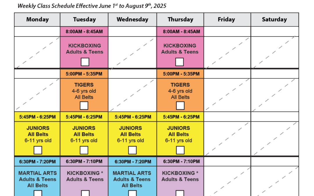 taekwondo-summer-classes-zynergy-martial-arts-west-palm-beach