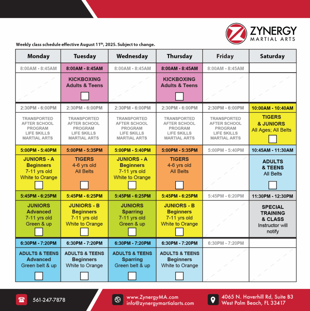 zynergy-martial-arts-class-schedule