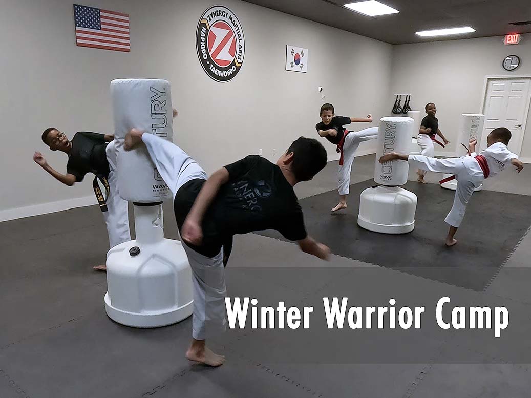west-palm-beach-winter-break-martial-arts-taekwondo-camp