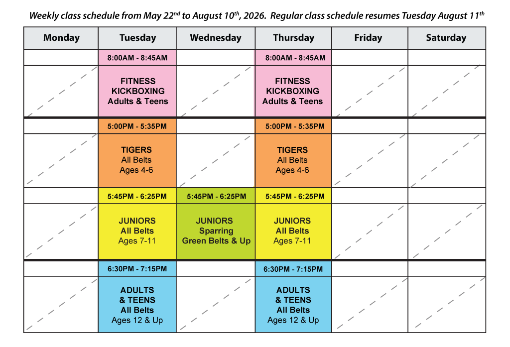 taekwondo-summer-classes-zynergy-martial-arts-west-palm-beach